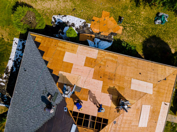 Best Storm Damage Roof Repair  in Crossville, AL