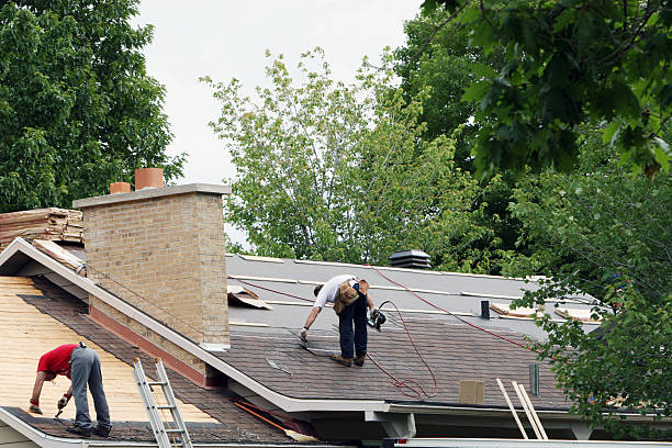 Best Gutter Installation and Roofing  in Crossville, AL